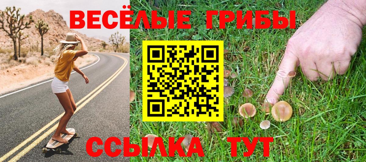 Псилоцибиновые грибы Psilocybine cubensis  Псилоцибиновые грибы мухоморы  Лесной  Вход с VPN 