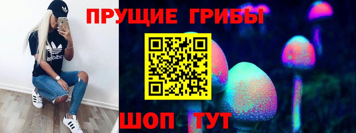 Галлюциногенные грибы ЛСД Лесной